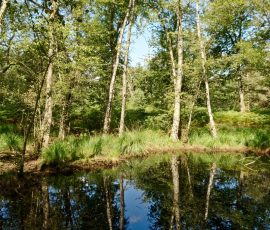 DSC 6859 DxO